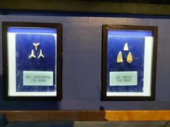 -梦幻海洋王国(吾悦广场张家港店)