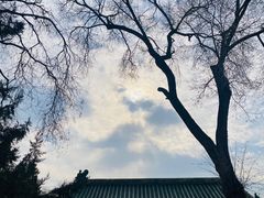 -白云观