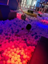 -幻贝家儿童乐园(苏州中心店)