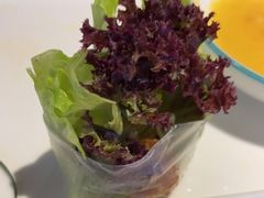-越小品·越南餐厅(万科里店)