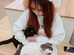 -李小姐の猫咖啡馆(五角场店)