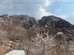 -大岭沟猕猴桃谷风景区