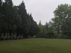 -瀛洲公园