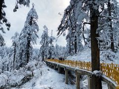 -瓦屋山景区