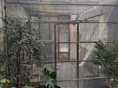 -观桥阁(锦溪店)