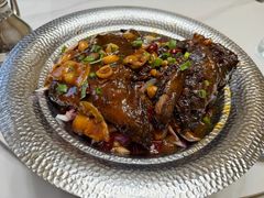 -鸭味飞飞