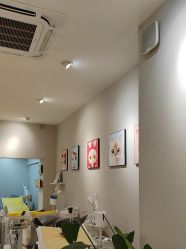 点击看大图 -洗脸猫·洗脸吧