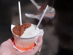 蜂蜜香草荚-Dip in Gelato(富民路店)