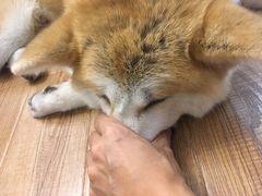 -YCHL Studios健身工作室(市二宫店)