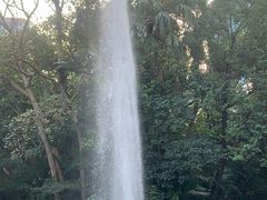 -九龙公园