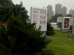 -延长壳牌加油站(大东站)