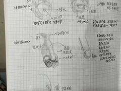 -盖画室·中高考艺考·三校生美术