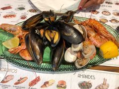 -Tapa Tapa