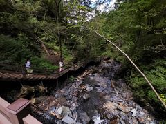 -凤凰山国家森林公园