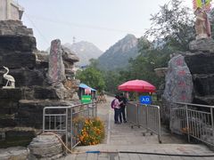 -大岭沟猕猴桃谷风景区