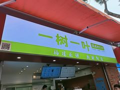 -一树一叶·福建茶档(石鼓路店)