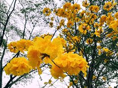 -南国桃园旅游度假区