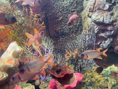 -太平洋海底世界