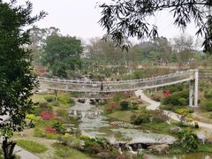 -东莞植物园