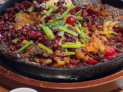 -老板恋上鱼(恒隆广场店)