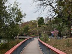 -四海公园(南山区)