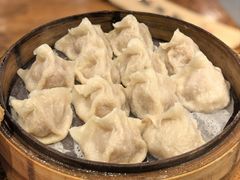 新兴园招牌风味蒸饺-新兴园饺子馆(河南街店)