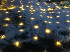-西树泡芙(蓝色港湾店)