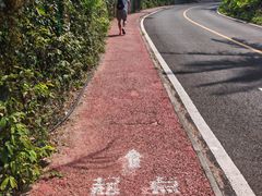 -海南铜鼓岭景区
