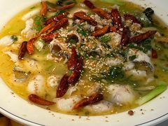 老坛泡椒酸菜鱼-川知味(京华城店)