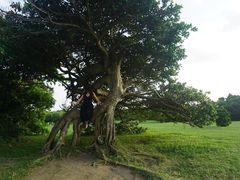 -鹅銮鼻公园