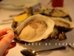 吉拉多生蚝-壳里西餐厅Coquille Seafood Bistro(蒙自路店)