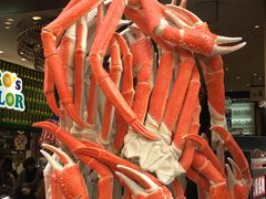 -蟹道乐(道顿堀本店)