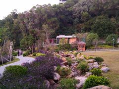 -金鸡山公园