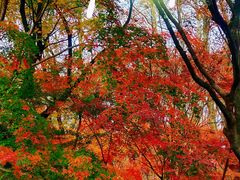 -共青国家森林公园-售票处