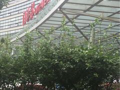 -上海中医药大学附属曙光医院(东部)