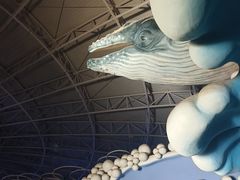 -烟台海昌鲸鲨海洋公园