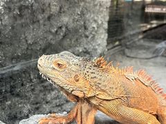 -武汉动物园