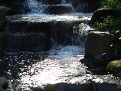 -中国茶叶博物馆(双峰馆区)