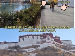 -布达拉宫