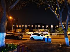 -舒小笼松针小笼包
