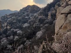 -北京凤凰岭