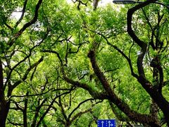 -乌山风景区