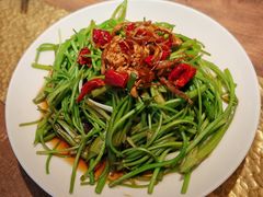 -菌自由丨野生菌火锅特色庭院餐厅(丽江古城店)