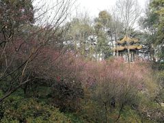 -团城山公园