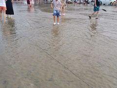 -太平河公园