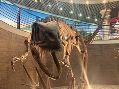 -国家自然博物馆