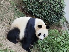 -竹乡人家大鱼头(南山竹海店)