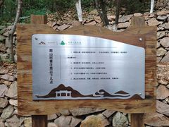 -石老人观光园