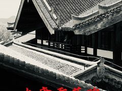 -大唐贡茶院