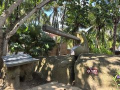 -海南分界洲岛旅游区